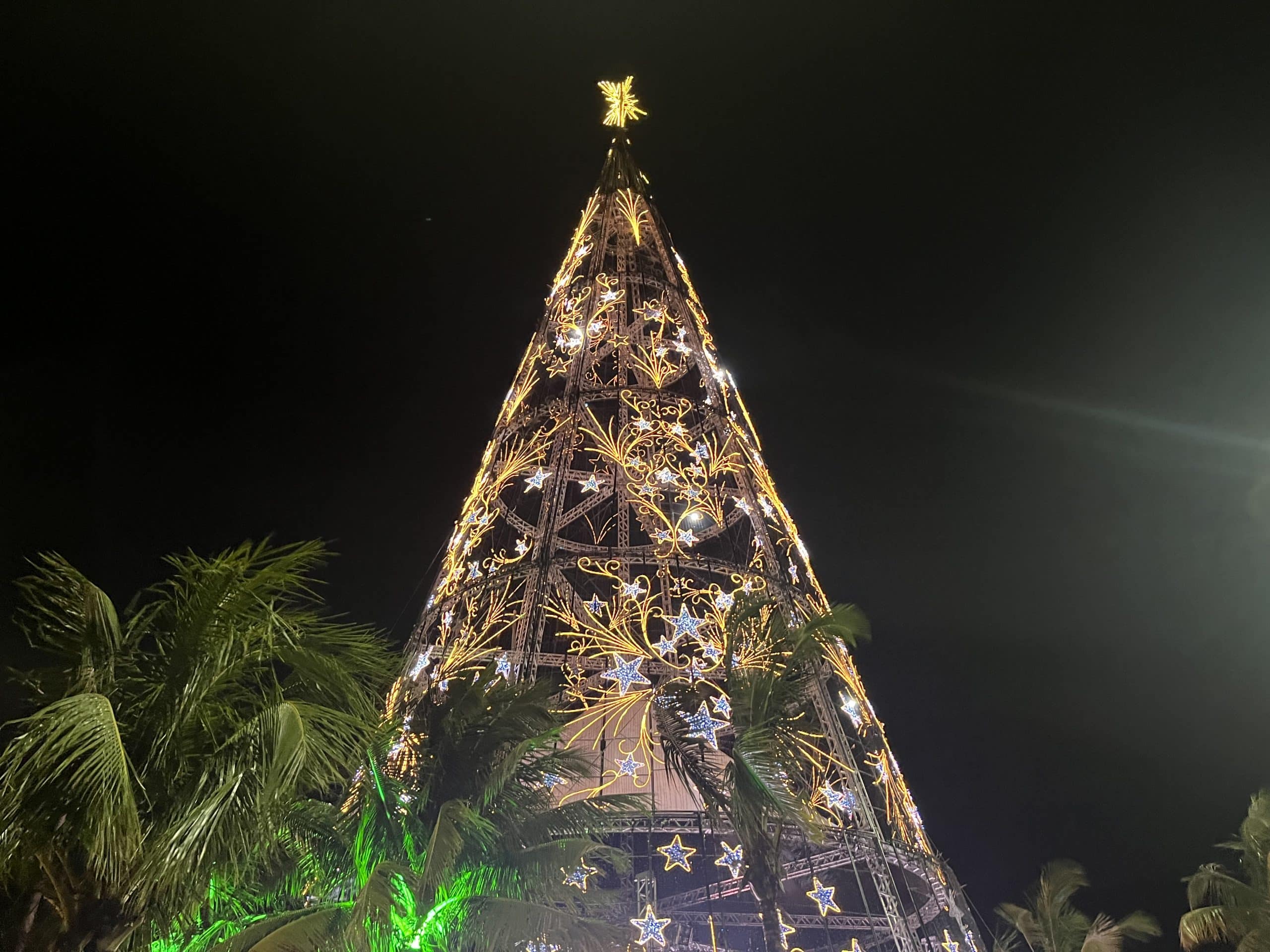 E de repente, é Natal! Árvore de São Francisco ilumina Niterói e atrai  multidão — A Seguir Niterói