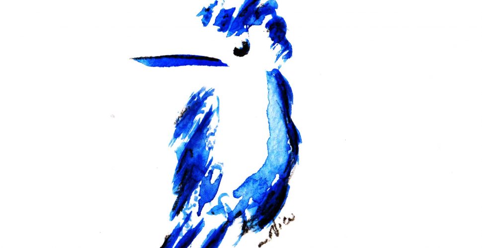 27-12-21 aquarela ave azul (1)