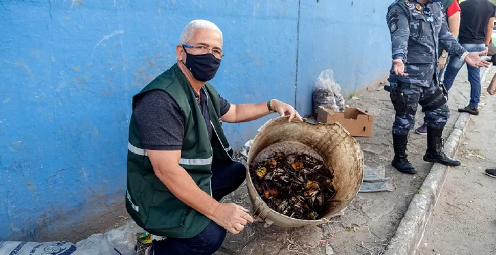 Fiscalização devolve ao mar caranguejos vendidos em feiras livres. Foto- Prefeitura de São Gonçalo