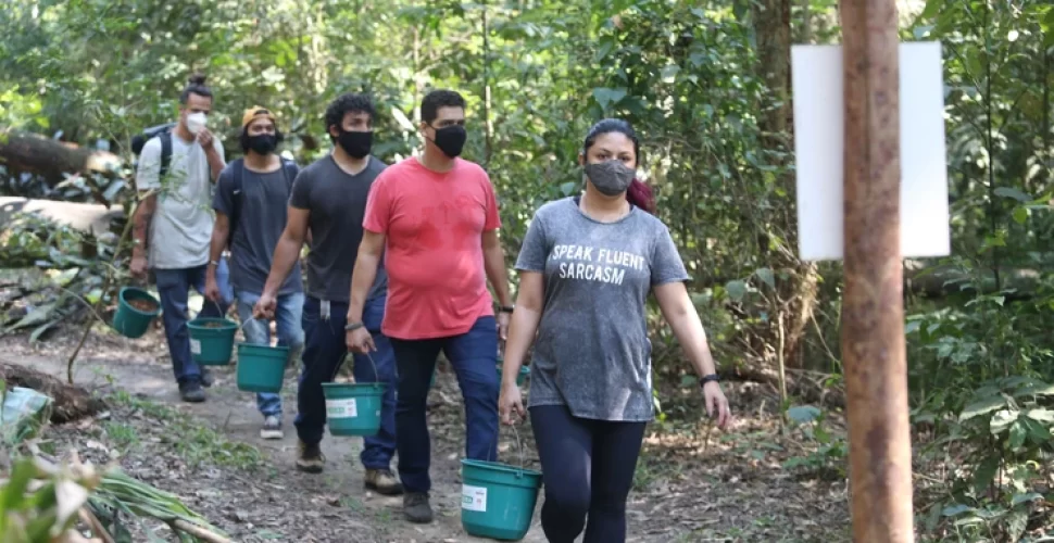 O trabalho dos voluntários ajuda no reflorestamento do Parque da Cidade. Foto- Prefeitura:Douglas Macedo