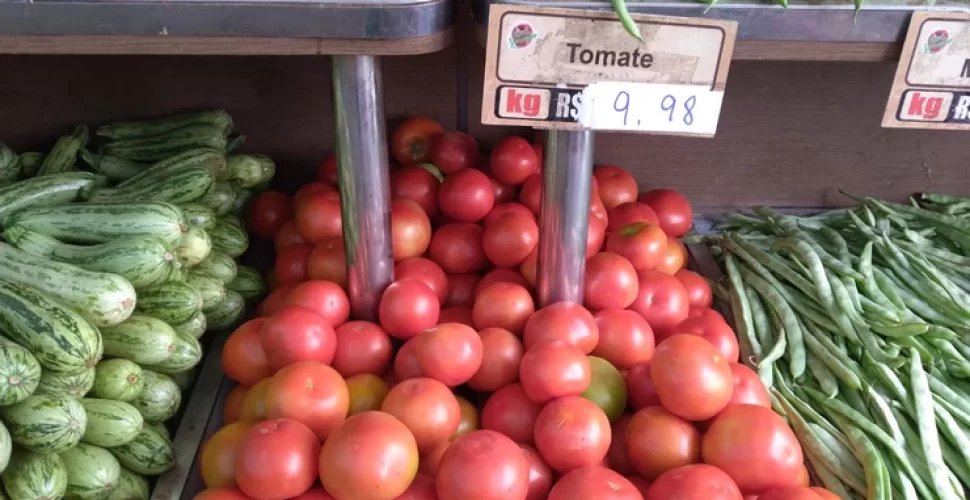 Preço do tomate beira os R$ 10. Foto- Thaís Sousa
