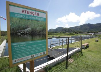 Nova placa com informações dos jacarés do Parque Orla Piratininga