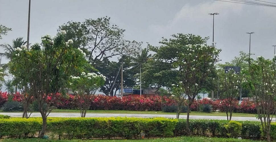 canteiro em frente O Túnel de Charitas