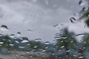 chuva-1-qgnv1gx4alaey7by1d19zg1nrw3sc704ow456cd79k