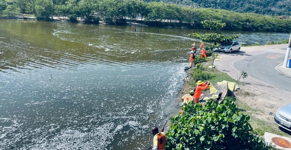 mortandade de peixe piratininga 24 setembro 2024