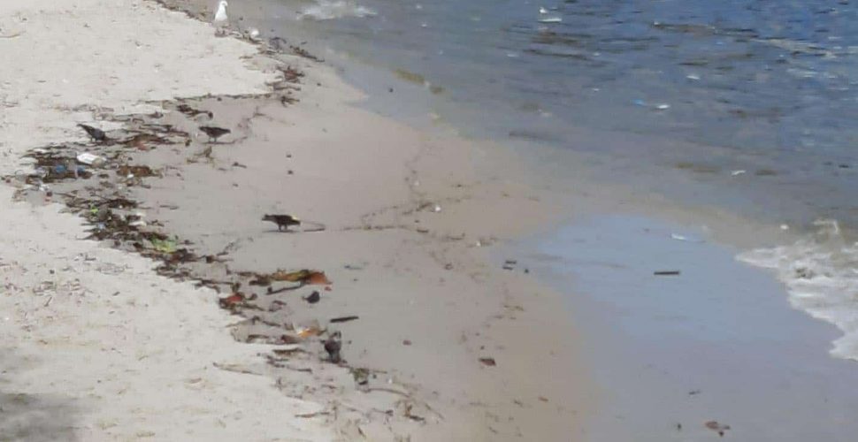 Praia de Icaraí suja após chuva de terça-feira. Foto: leitor