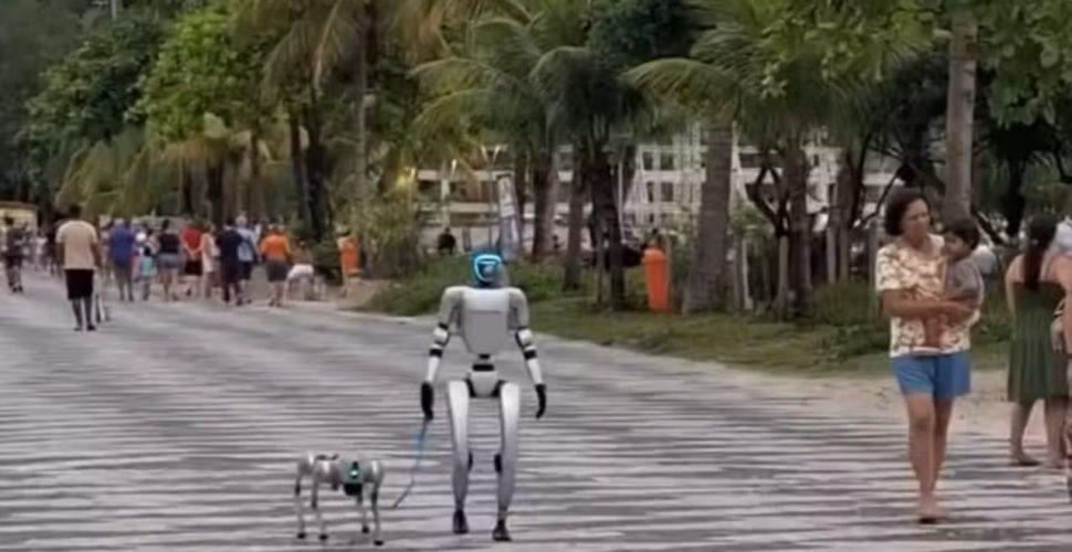 robo-niteroi